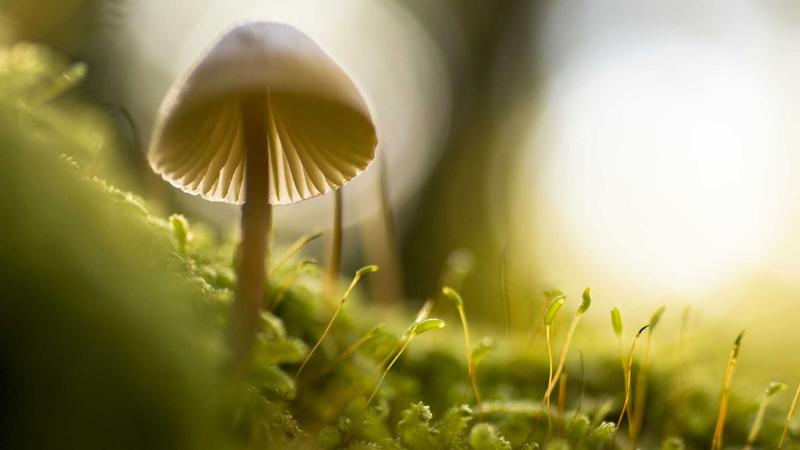 玩美x玩媚在线观看年度精选热门视频封面